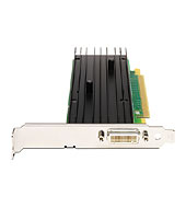 NVIDIA Quadro NVS 290 256MB PCIe x16 DVI - Graphics Cards